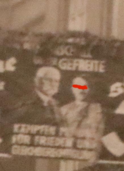 altes Foto - Bad Harzburg ? Herzburg ? Strassezug mit Fahnen, Wahlen 30er Jahre